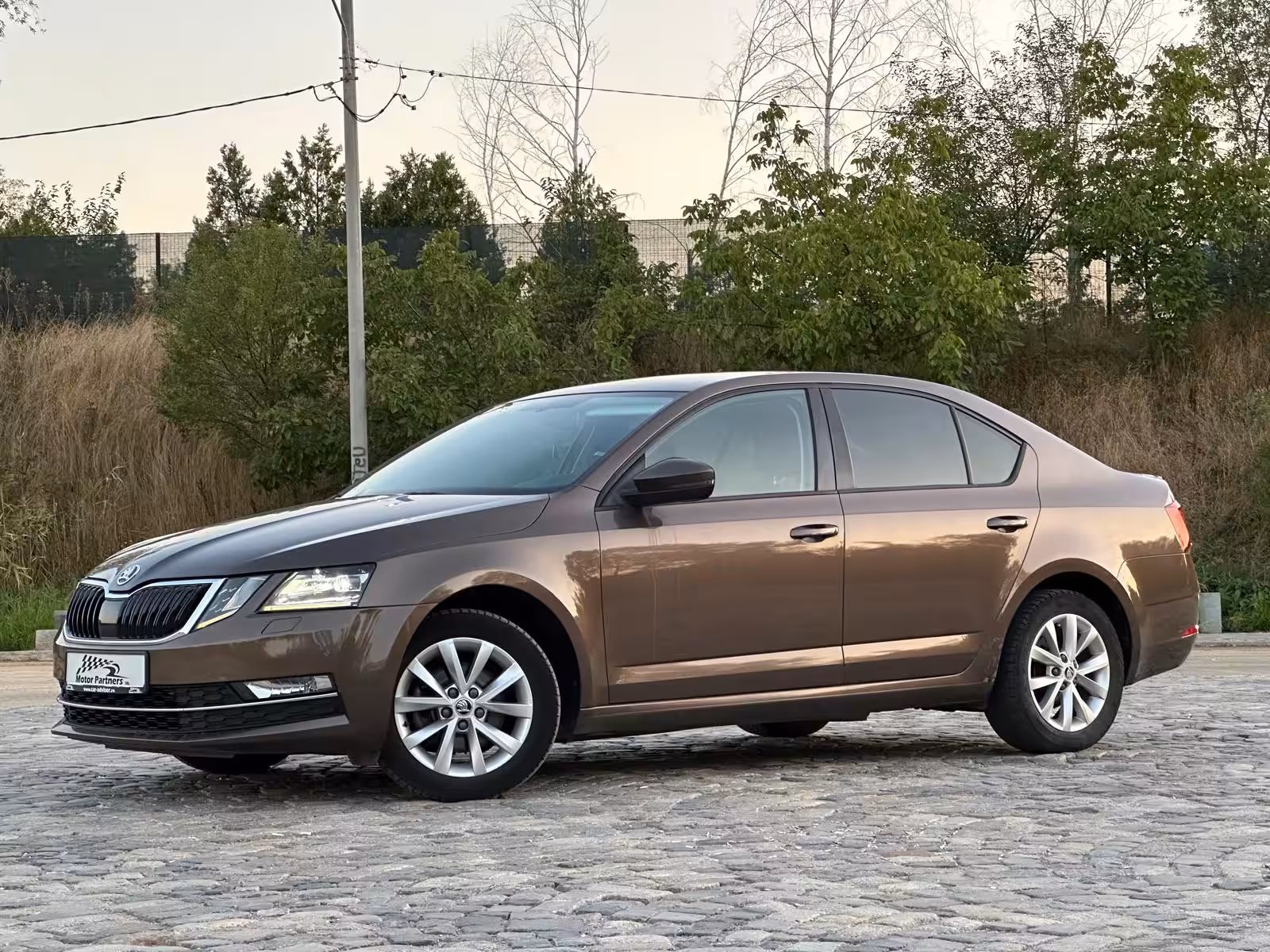 Skoda Octavia Style - imagine 4